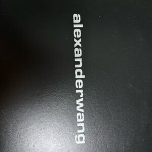 Brand new!!!! never wore Alexander wang boots size 39.5